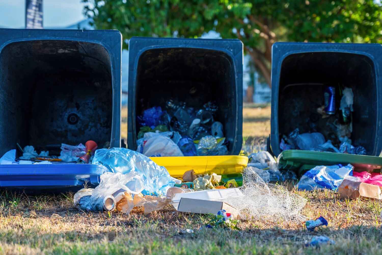 Best Local Junk Hauling  in Hillcrest, CA